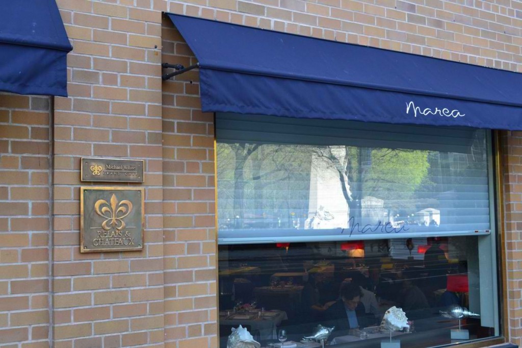 b171a879cb420607c80e11c674a071f8_full_size