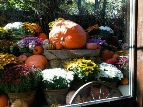 33570_446579199644_6403291_n