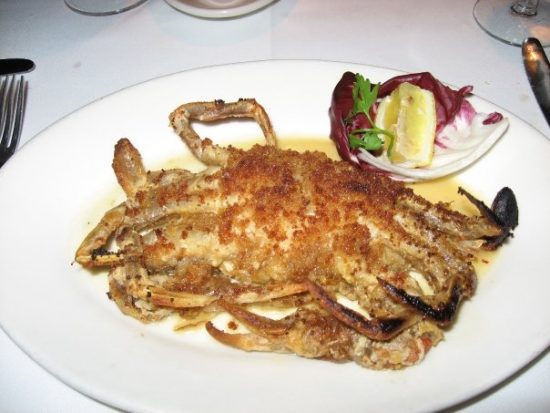 1929004_1172300222655_3376293_n