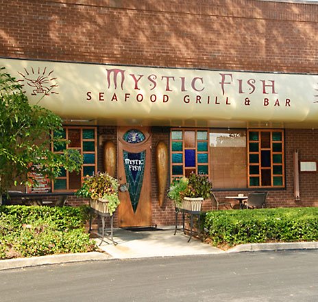 Mystic Fish: Fun, Fresh & Friendly: Tampa Bay Area's Favorite Seafood