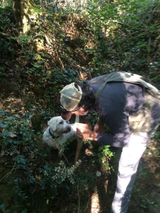 10612760_10203850488077605_6483987022217070828_n