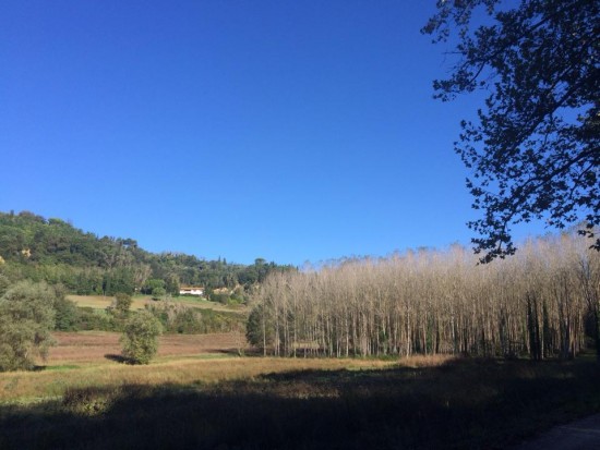 10676353_10203850465437039_8492926201247296222_n