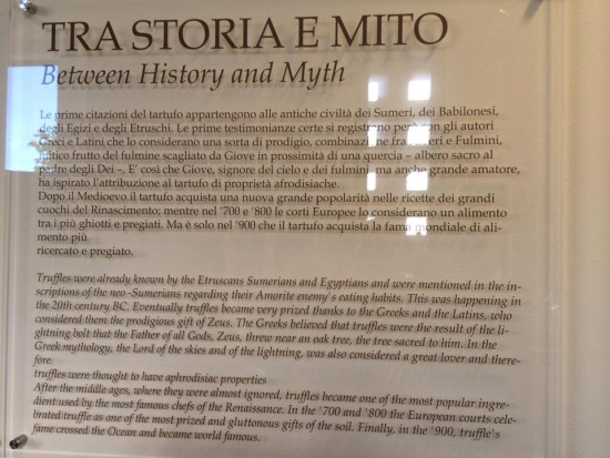 10734278_10203850464797023_2094698459061719030_n