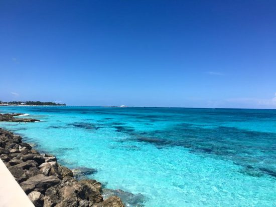 13516398_1087302194649417_8157249976546064928_n