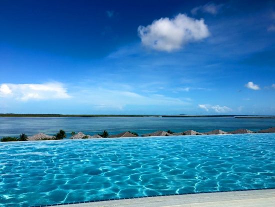 13532819_1086852104694426_8975872562358144082_n