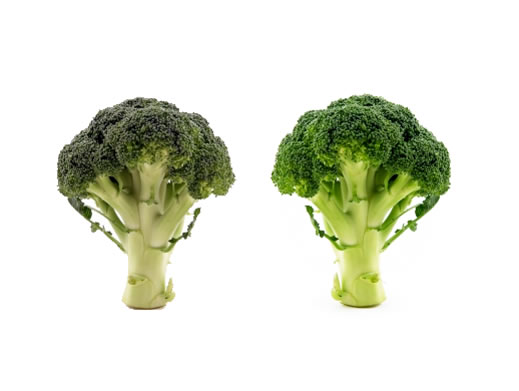 broccolis